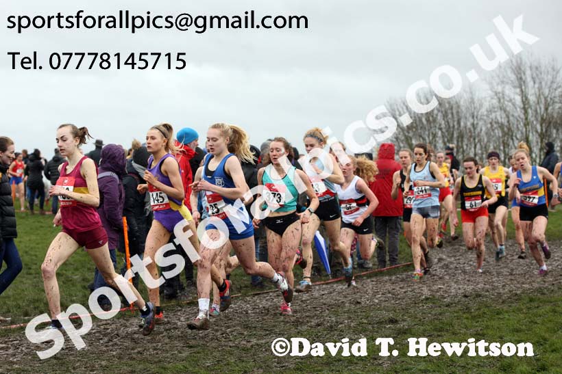 Senior girls 2019 New Balance English Schools Cross Country Champs, Temple Newsam, Leeds. Photo:  David T. Hewitson/Sports for All Pics